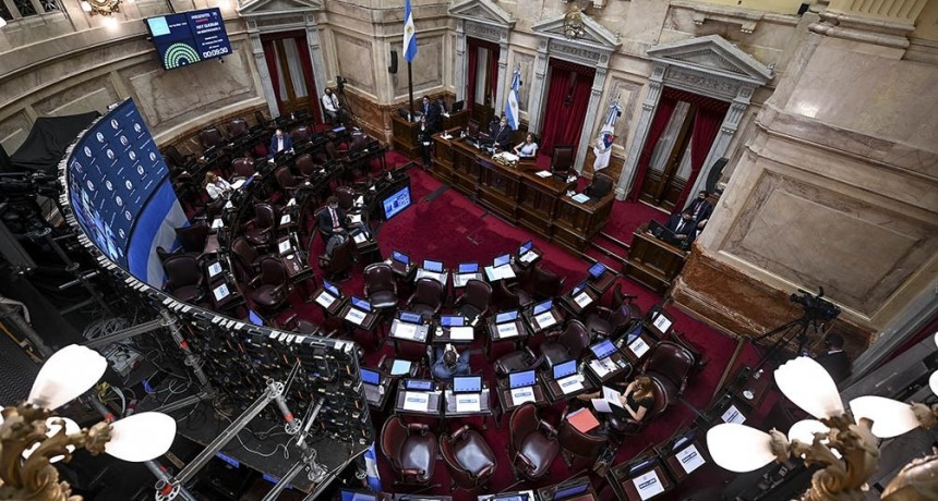El Senado convirti&oacute; en ley el Aporte Solidario y Extraordinario