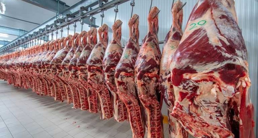 Disponen la apertura del cupo de exportaciones de carne a EEUU para 2022