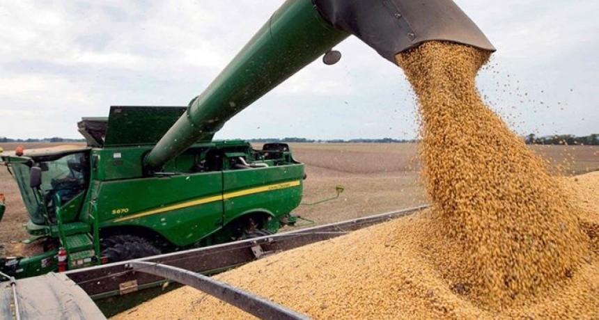 La soja roza los u$s500 y se ubica en su mayor valor desde agosto