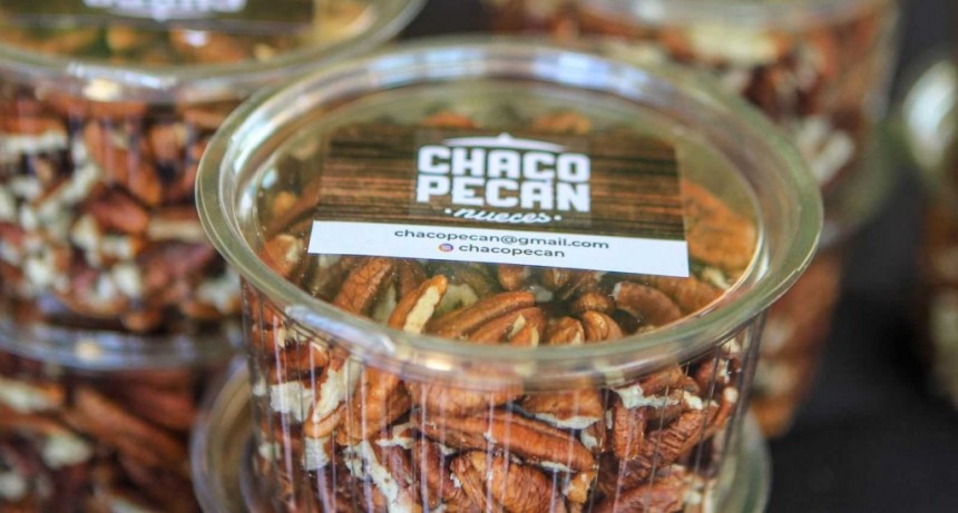 Chaco promueve la expansi&oacute;n del cultivo de nuez Pec&aacute;n
