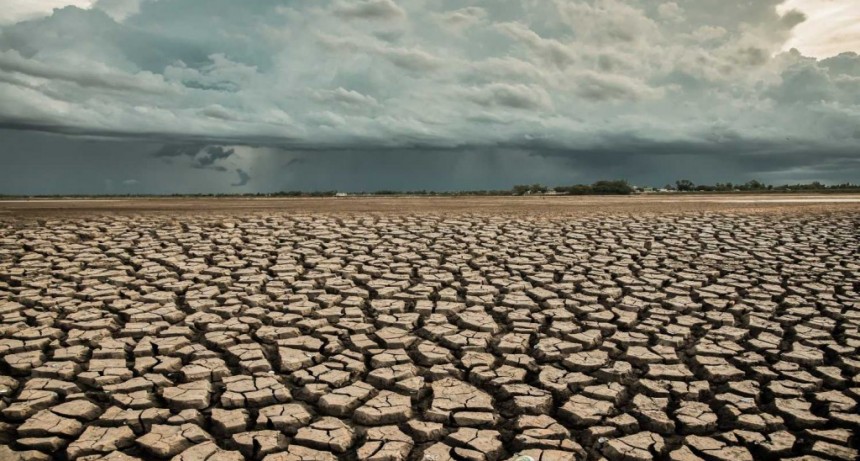El cambio clim&aacute;tico causado por el hombre hizo que la ola de calor en el pa&iacute;s sea 1.4&deg;C m&aacute;s caliente