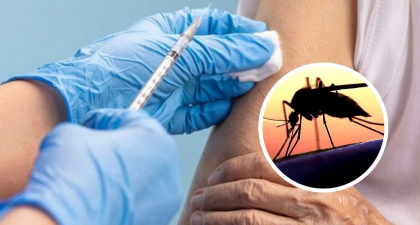 Las vacunas contra el Dengue llegaron al Chaco